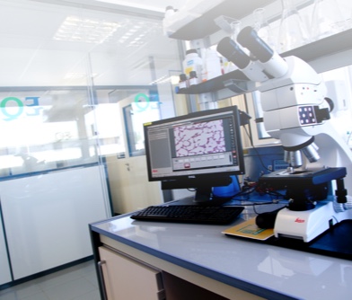 CMC Regulatory Services